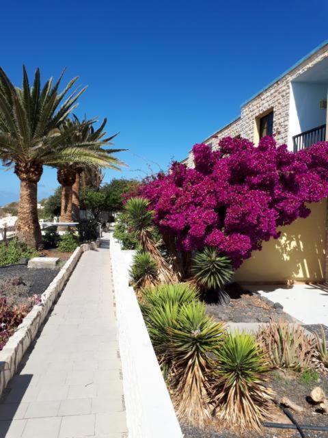 Maravilla Bungalows Cotillo Exteriör bild
